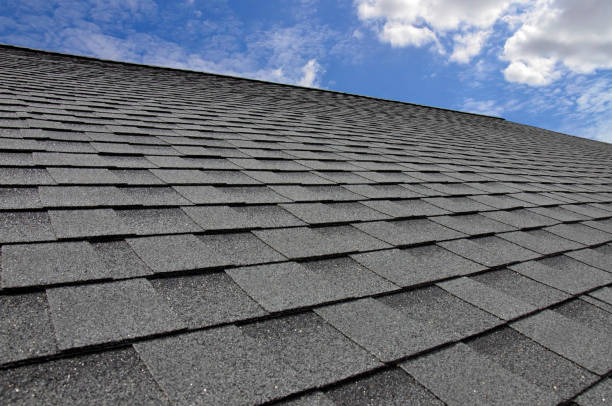 Roof Coating Services in Maquoketa, IA